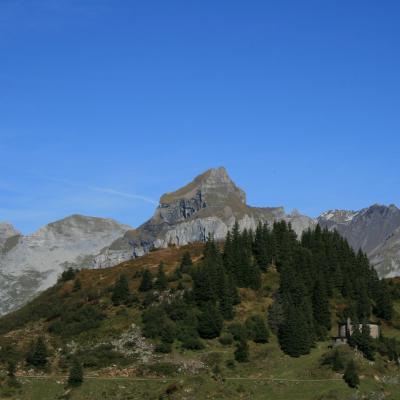 Aussenansicht 15